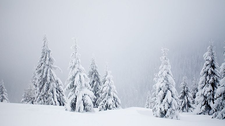 Climate change is wreaking havoc with weather patterns year round. What will it do to chances of a White Christmas- Copyright Canva