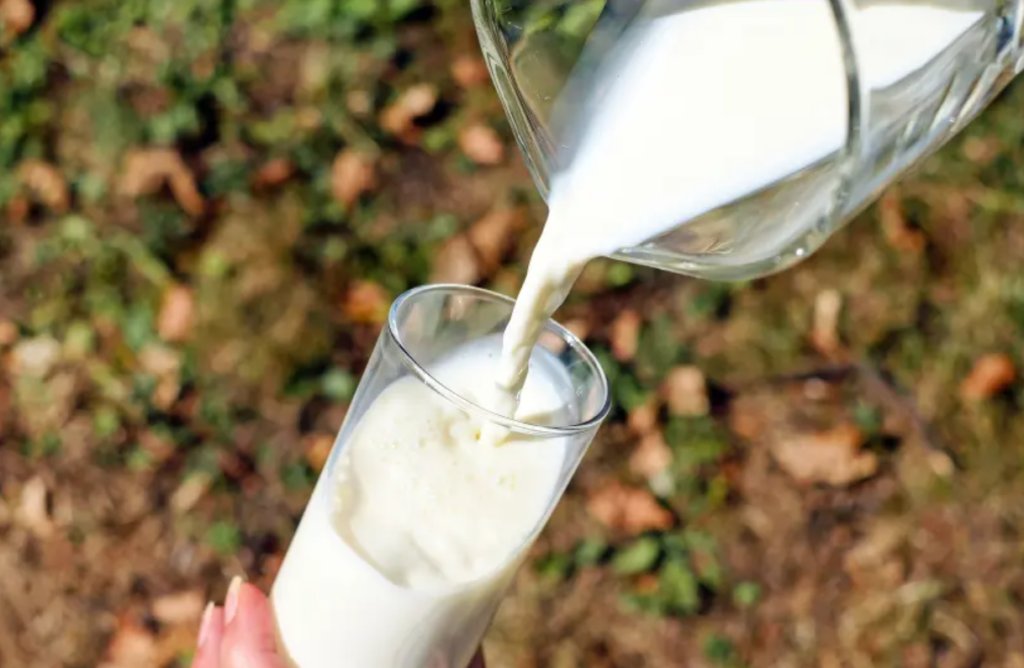 Plant milk is definitely milk, and now it's official