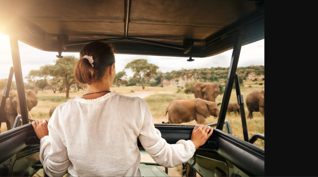 The Rise of Ethical Adventures: Exploring Vegan Safaris in Africa