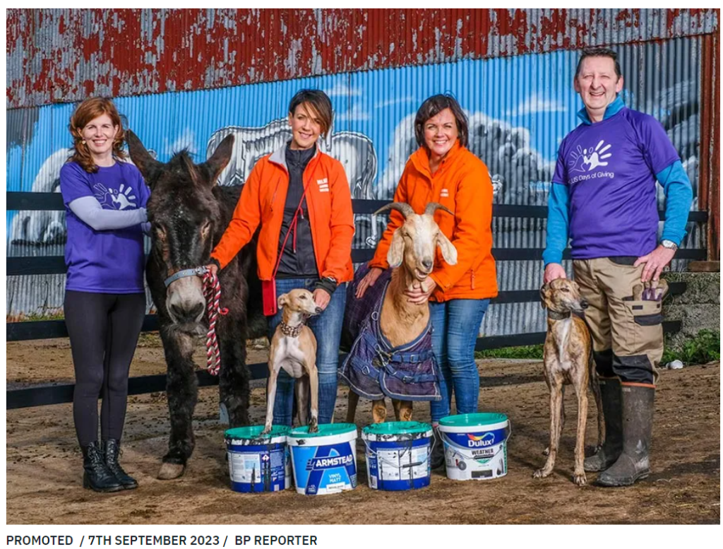 Community Volunteering Is A Key Part Of TELUS International Ireland's CSR Strategy